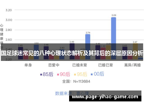 国足球迷常见的八种心理状态解析及其背后的深层原因分析