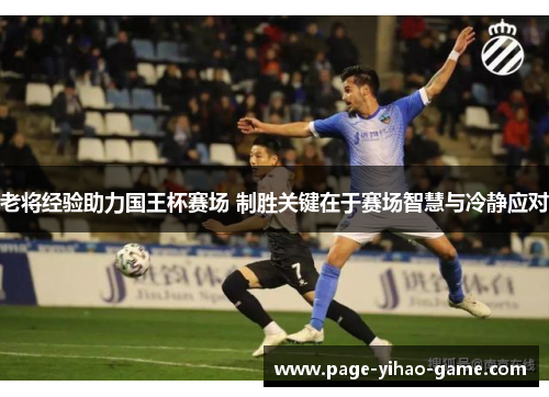 老将经验助力国王杯赛场 制胜关键在于赛场智慧与冷静应对