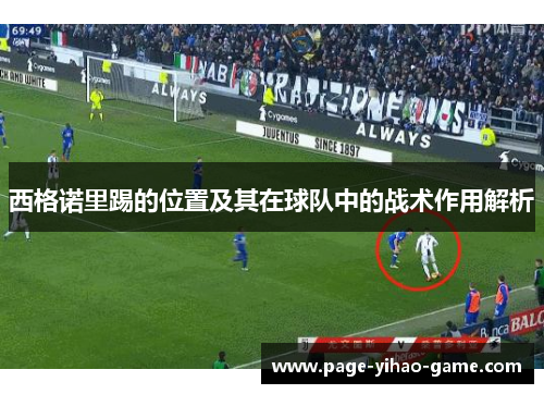 西格诺里踢的位置及其在球队中的战术作用解析